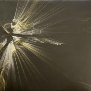 Son Lux ‎– At War With Walls And Mazes