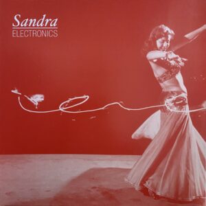 Sandra Electronics – Want Need EP