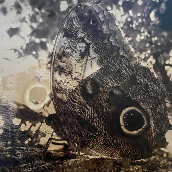 LLL – Ikiru Or The Wanderer