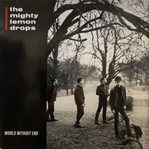 The Mighty Lemon Drops – World Without End