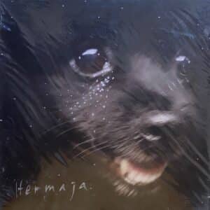 Hermaja – Kultasuoni