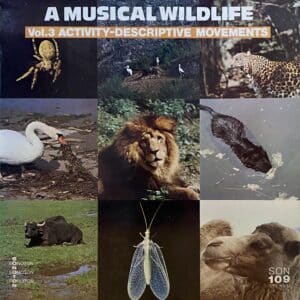 Various – A Musical Wildlife Vol.3 Activity-Descriptive Movements
