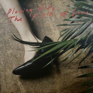 Iceage – Plowing Into The Field Of Love