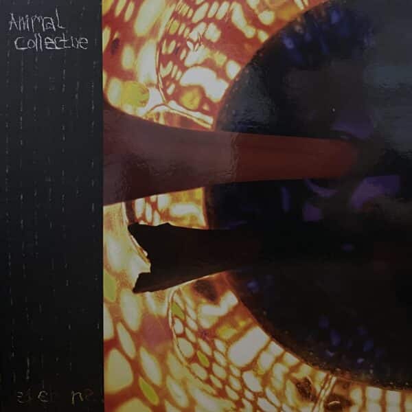 Animal Collective – Peacebone