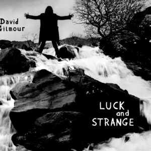 David Gilmour – Luck And Strange (Silver)