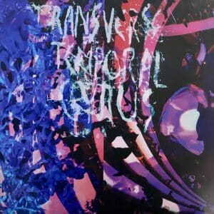 Animal Collective – Transverse Temporal Gyrus EP