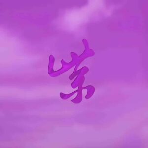 Stone Temple Pilots – Purple Rarities