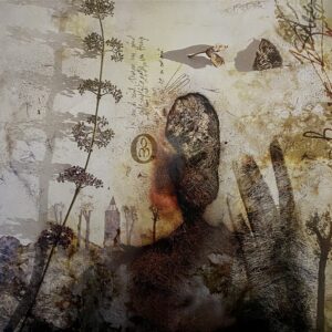 Negură Bunget – OM