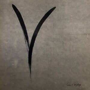 Lauri Nykopp – Y - An Imaginary Ritual