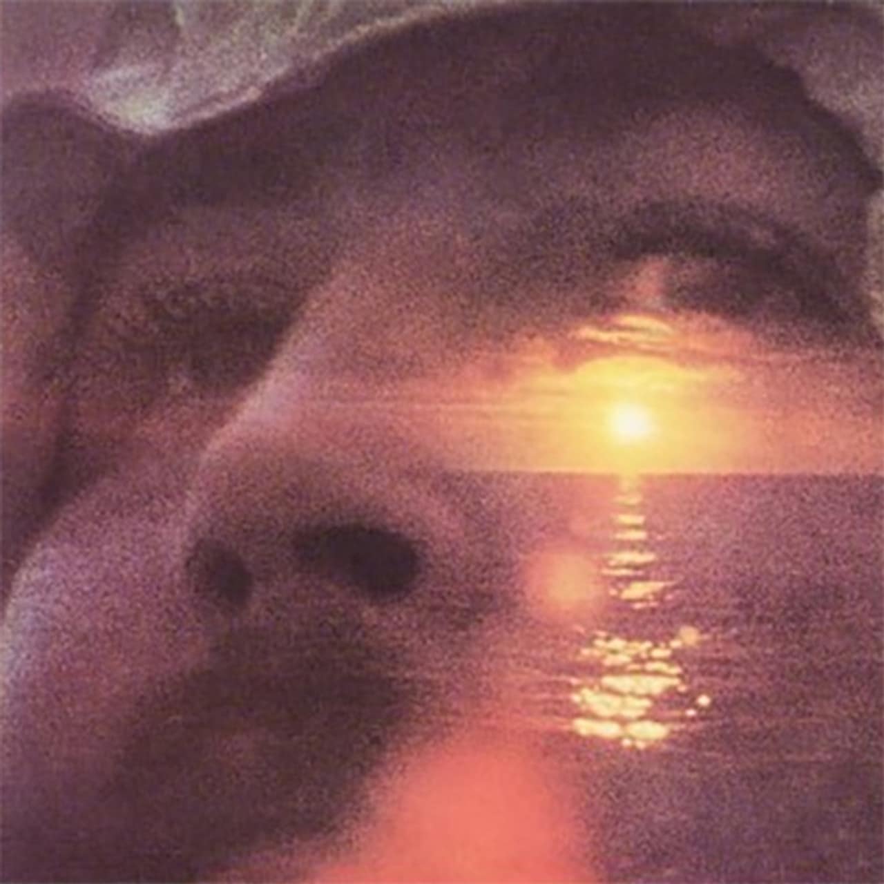 David Crosby – If I Could Only Remember My Name