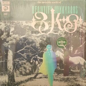 Beautify Junkyards – The Invisible World Of Beautify Junkyards