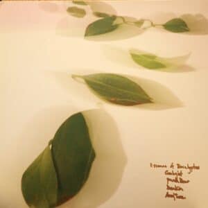 Avey Tare – Essence Of Eucalyptus EP