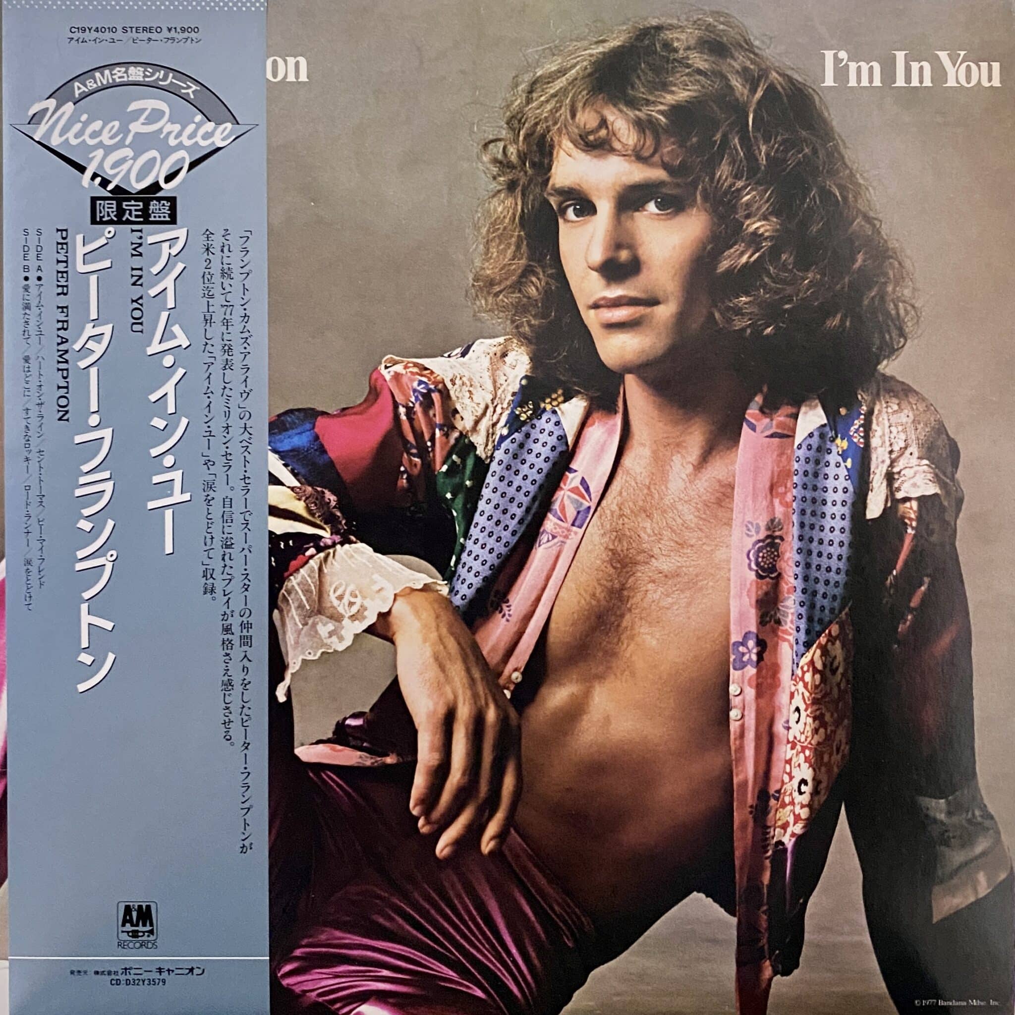 Peter Frampton – I'm In You