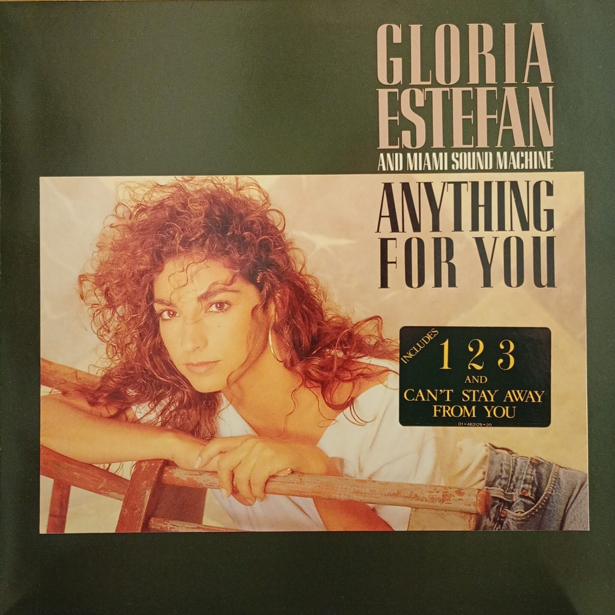 Gloria Estefan And Miami Sound Machine – Anything For You