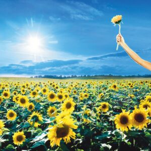 Stone Temple Pilots – Thank You