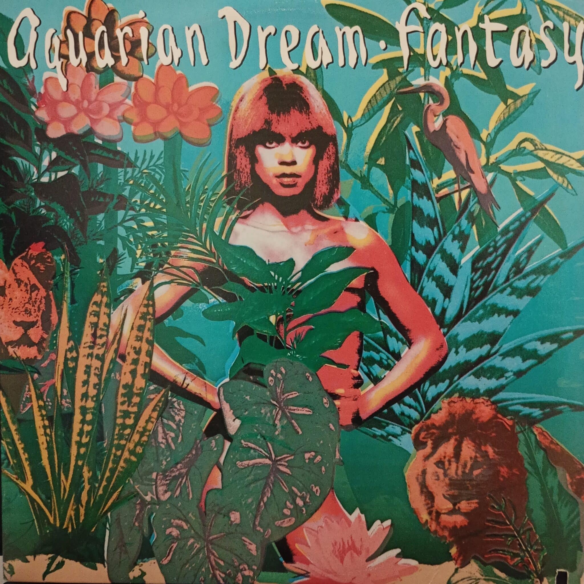Aquarian Dream – Fantasy