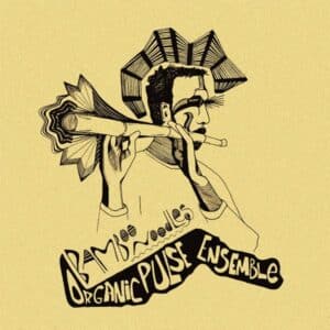 Organic Pulse Ensemble – Bamboo Noodles