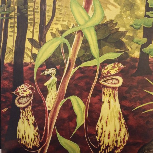 Uhrijuhla – Jokainen On Vapaa Lintu