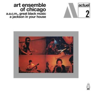 Art Ensemble Of Chicago – A Jackson In Your House (marbled)