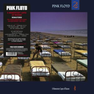 Pink Floyd – A Momentary Lapse Of Reason