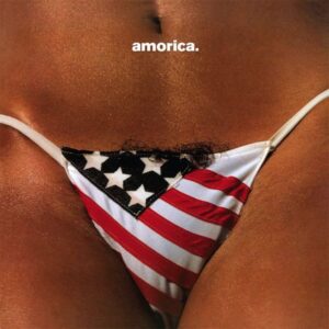 The Black Crowes – Amorica