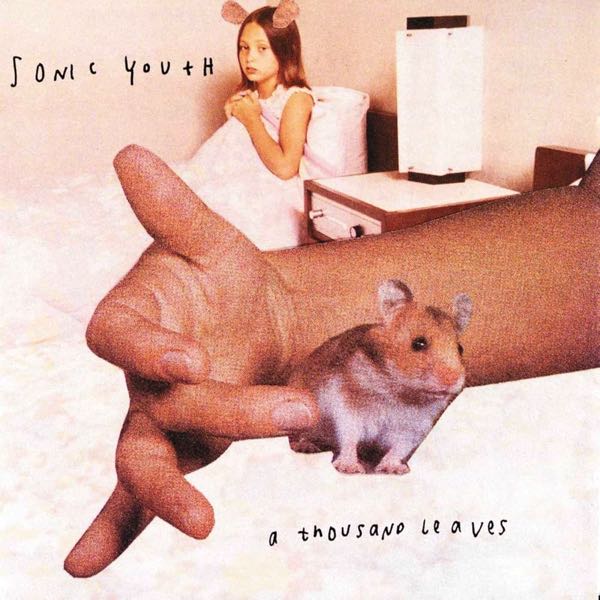 Sonic Youth – A Thousand Leaves