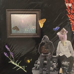 Asa – Rakkauslauluja Miehille