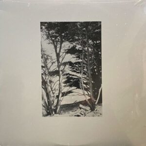 Rick Deitrick – Gentle Wilderness