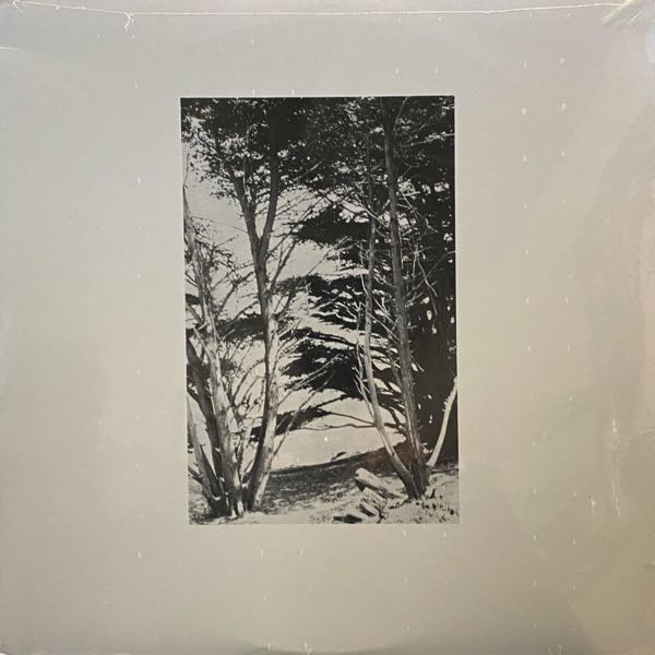 Rick Deitrick – Gentle Wilderness