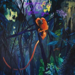 Bonnie "Prince" Billy – We Are Together Again