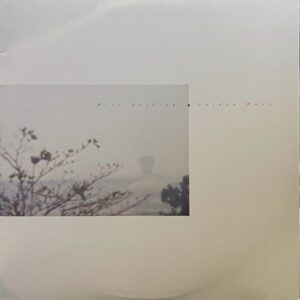 Wild Nothing – Golden Haze EP