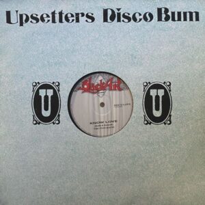 The Twin Roots / Watty Burnett – Know Love / Rainy Night In Portland MAXI