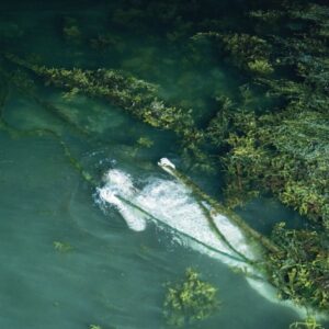 Pietu Arvola – Meidän Täytyy Valvoa Jottemme Nukkuisi, Sillä Maailma On Liukas