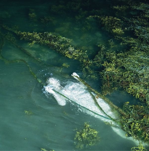 Pietu Arvola – Meidän Täytyy Valvoa Jottemme Nukkuisi, Sillä Maailma On Liukas