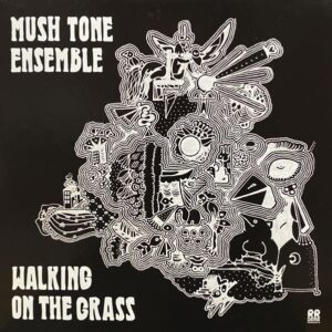 Mush Tone Ensemble – Walking On The Grass