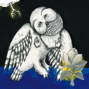 Songs: Ohia – The Magnolia Electric Co
