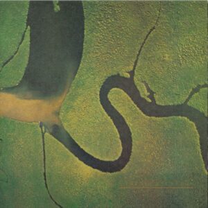 Dead Can Dance – The Serpent's Egg