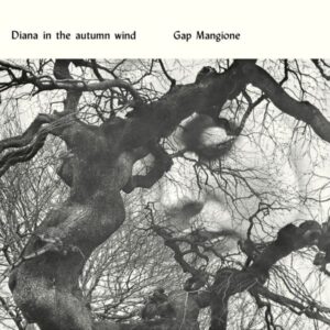 Tulossa / Gap Mangione – Diana In The Autumn Wind