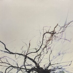 Yutaka Hirose – Nova +4